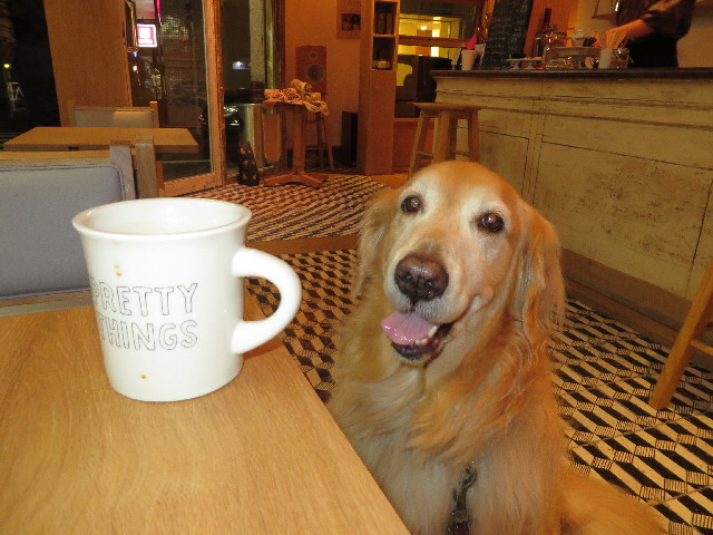 ファイル 3894-5.jpg