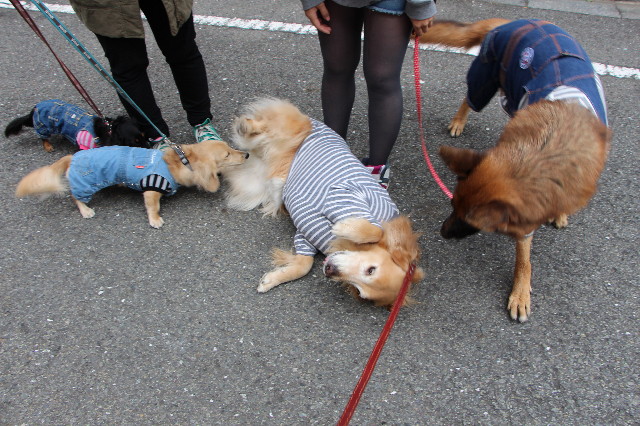 ファイル 3898-1.jpg