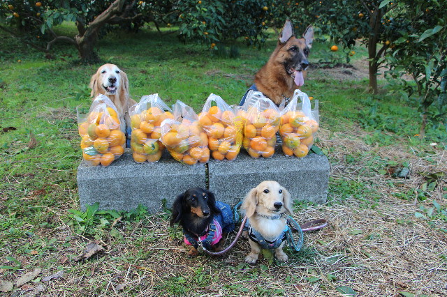 ファイル 3899-5.jpg