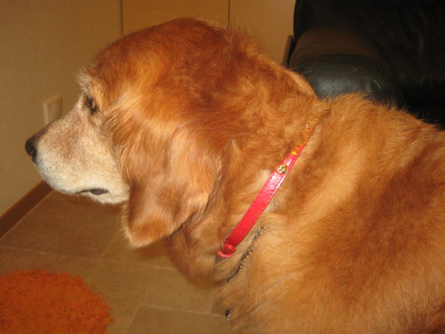 ファイル 390-2.jpg