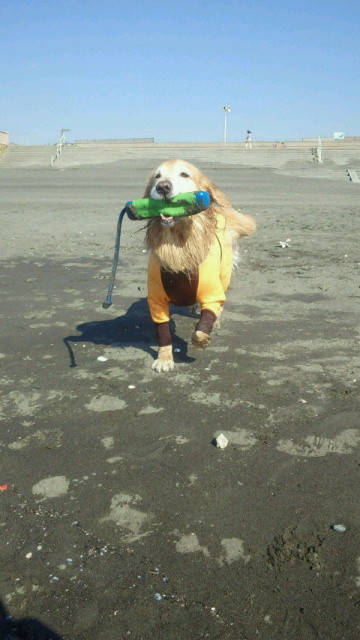 ファイル 3902-4.jpg