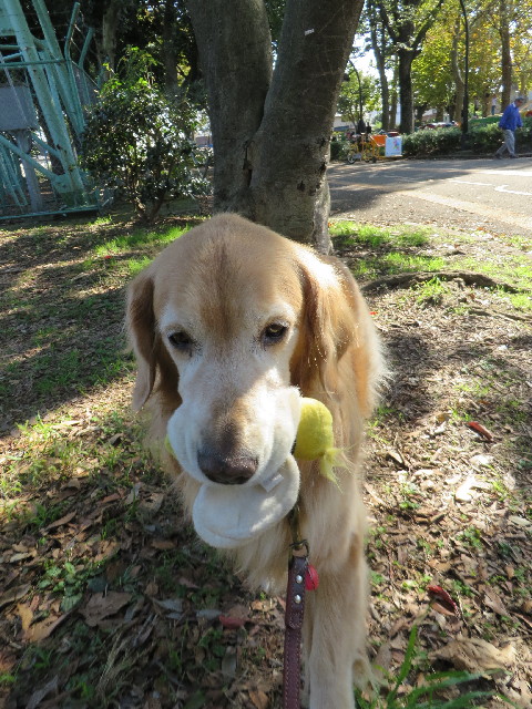 ファイル 3905-3.jpg