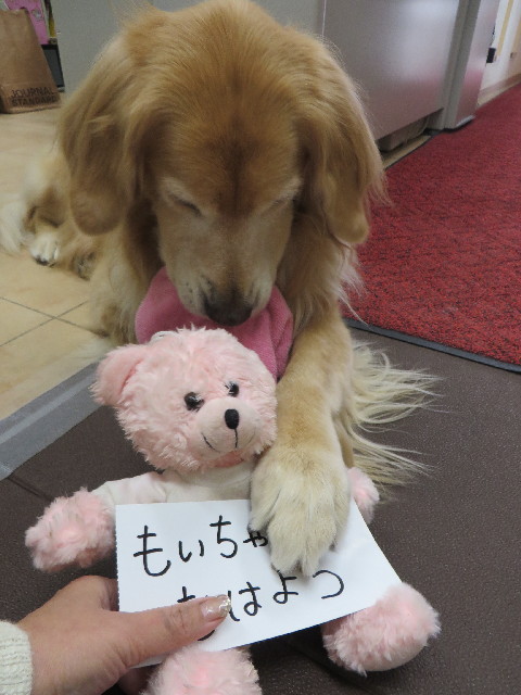 ファイル 3907-1.jpg