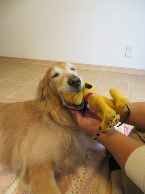 ファイル 3908-5.jpg