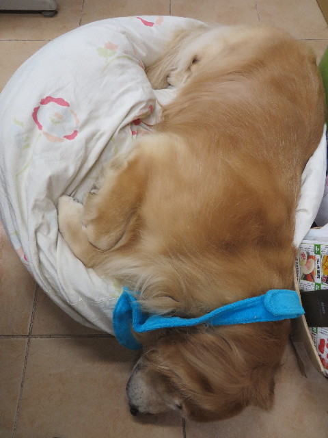 ファイル 3909-1.jpg