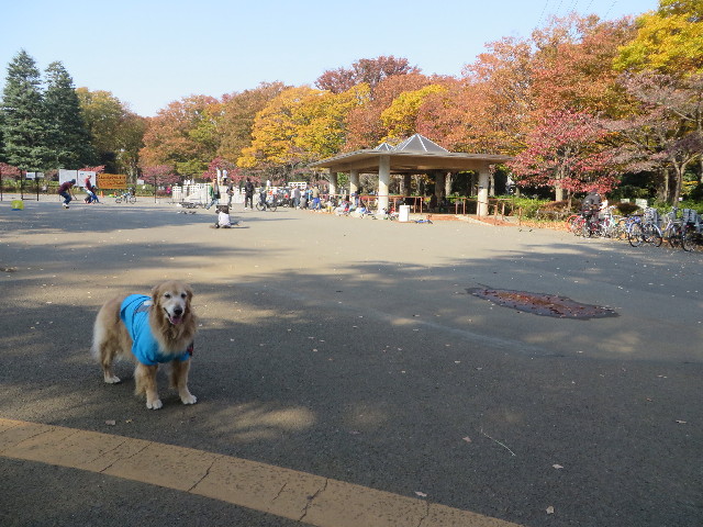 ファイル 3910-1.jpg