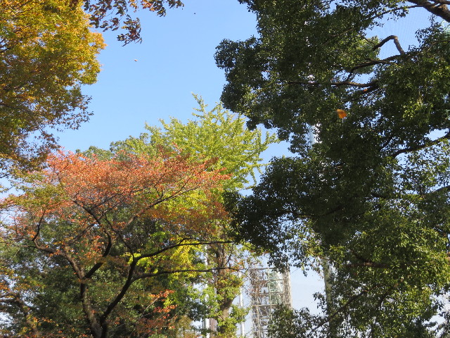 ファイル 3910-3.jpg