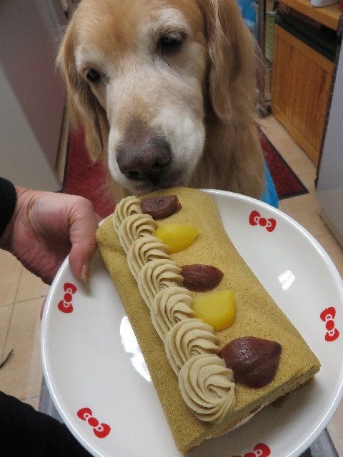 ファイル 3912-4.jpg