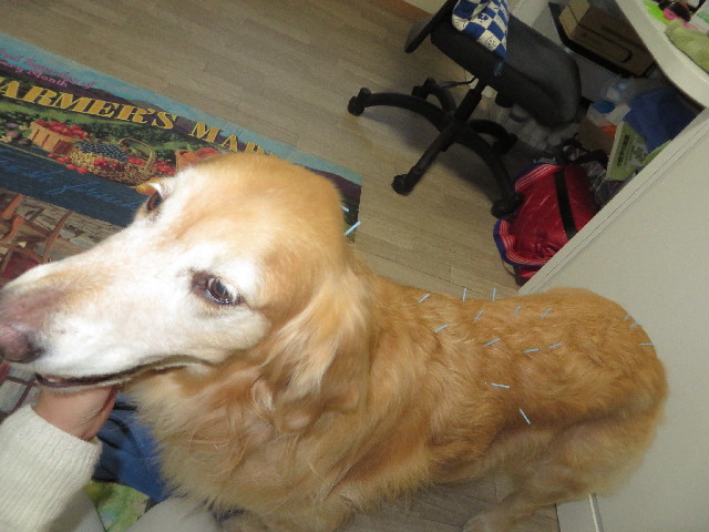 ファイル 3914-1.jpg