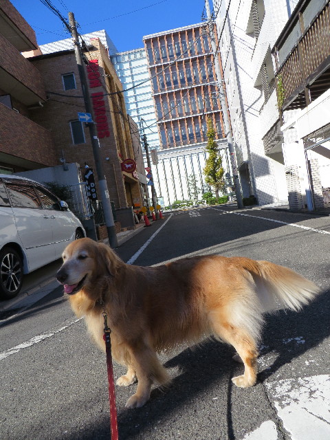 ファイル 3915-1.jpg