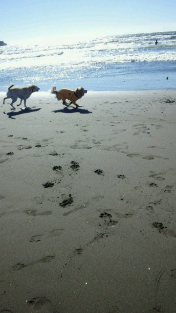 ファイル 3915-4.jpg