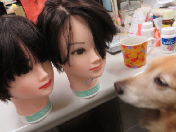 ファイル 3917-1.jpg