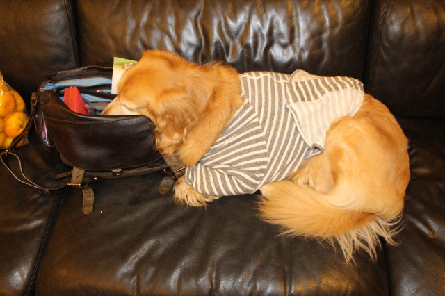 ファイル 3917-5.jpg