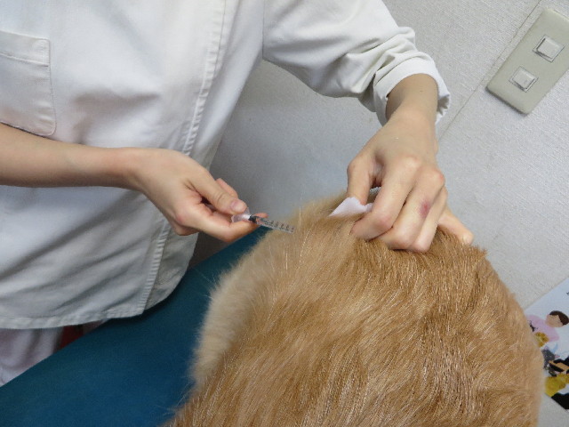 ファイル 3918-2.jpg