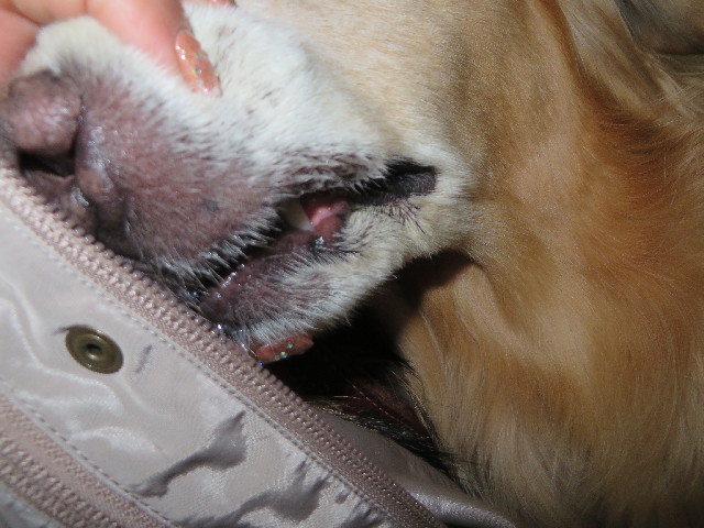 ファイル 3918-3.jpg