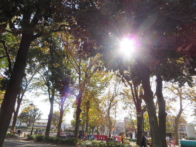 ファイル 3920-1.jpg