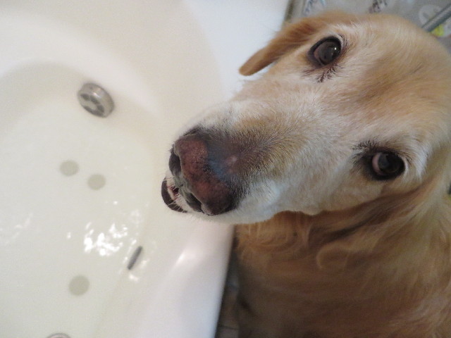 ファイル 3922-3.jpg