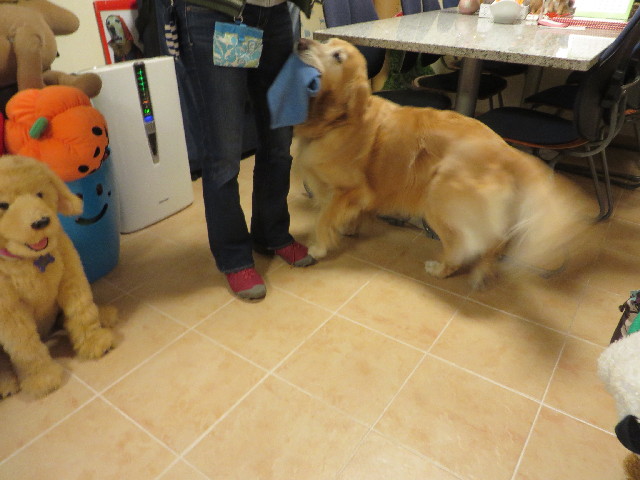 ファイル 3926-4.jpg