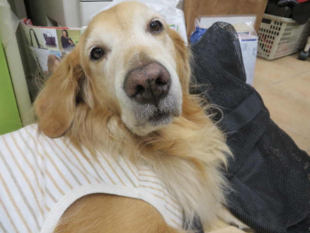 ファイル 3929-4.jpg