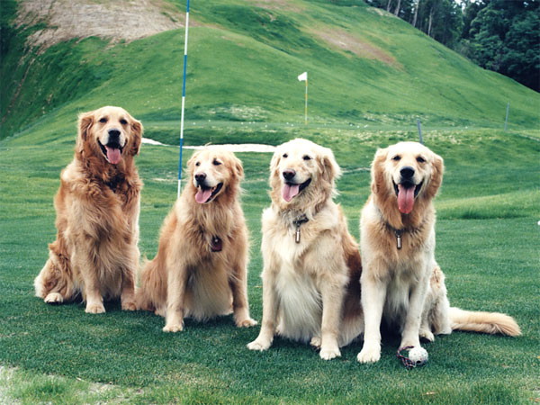 ファイル 393-5.jpg