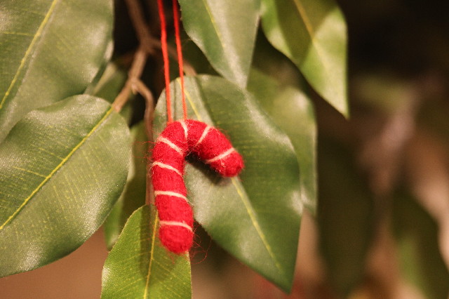 ファイル 3931-3.jpg