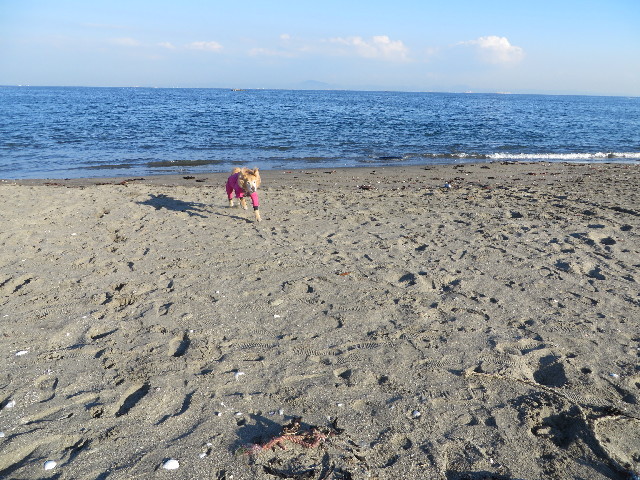 ファイル 3932-2.jpg