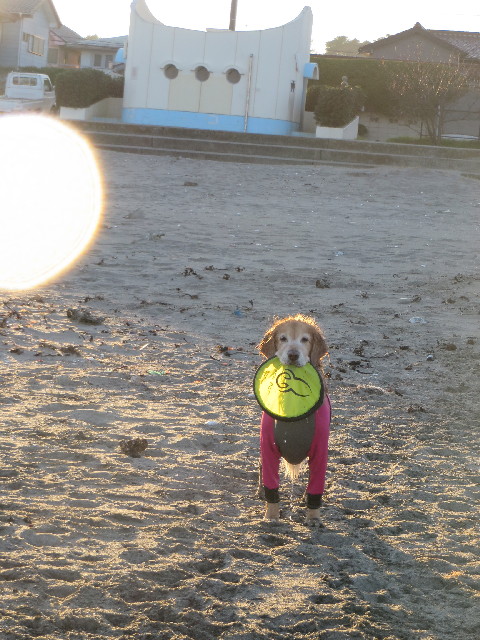 ファイル 3933-3.jpg