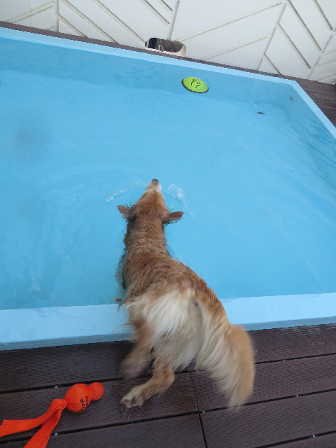 ファイル 3933-5.jpg