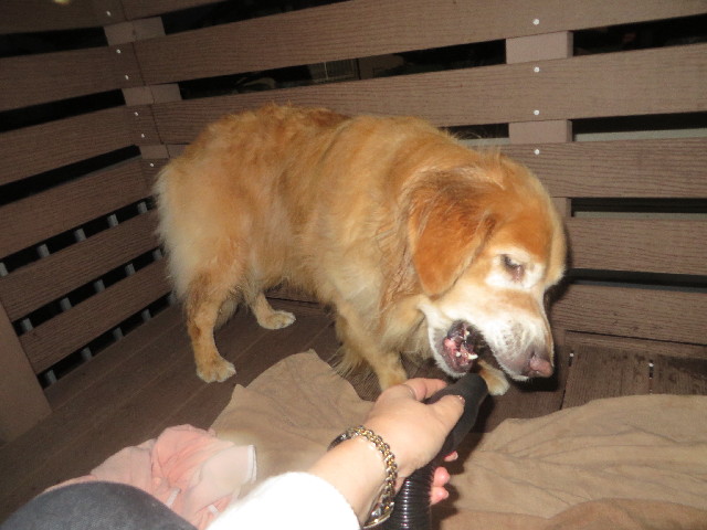 ファイル 3934-4.jpg