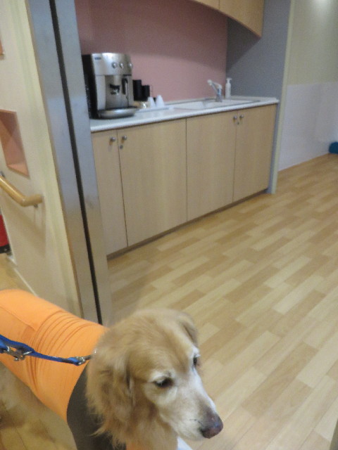 ファイル 3934-5.jpg