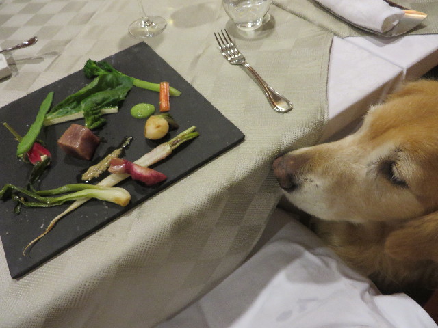 ファイル 3935-4.jpg