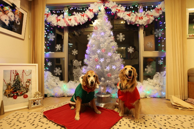 ファイル 3937-3.jpg