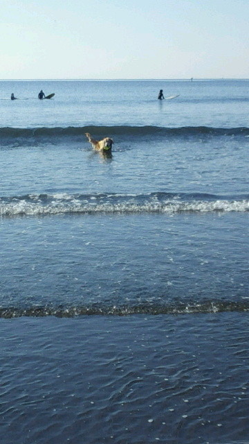 ファイル 3939-2.jpg