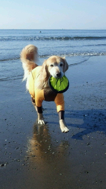 ファイル 3939-3.jpg