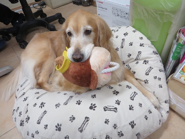 ファイル 3940-3.jpg