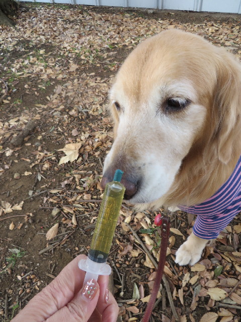 ファイル 3941-1.jpg