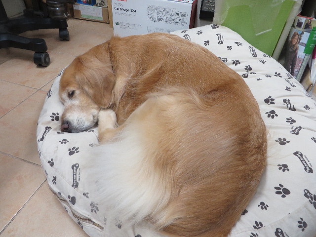 ファイル 3941-5.jpg