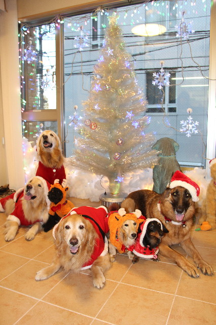 ファイル 3943-1.jpg