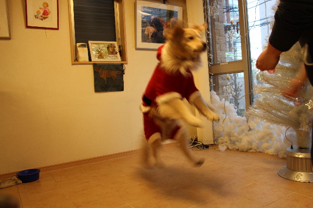 ファイル 3946-5.jpg