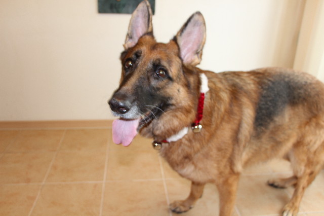 ファイル 3947-2.jpg