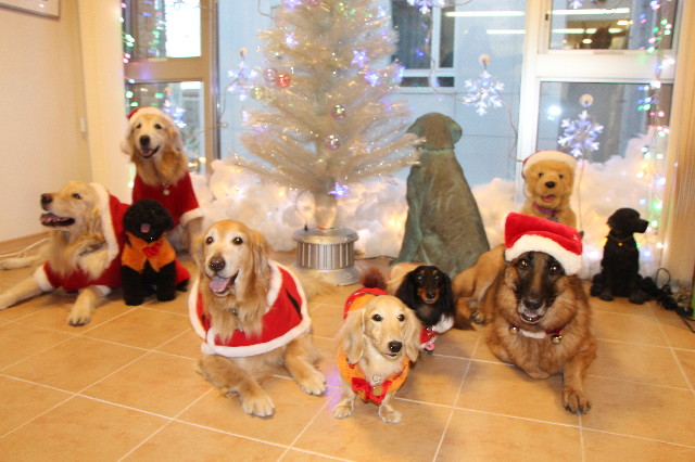 ファイル 3947-3.jpg