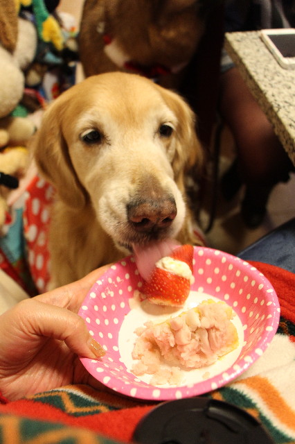 ファイル 3947-4.jpg