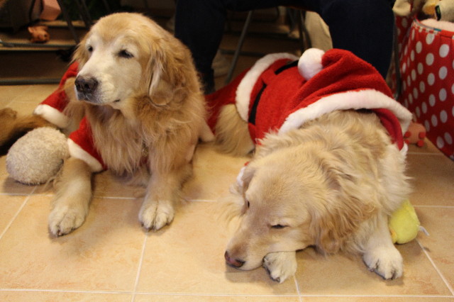 ファイル 3947-5.jpg