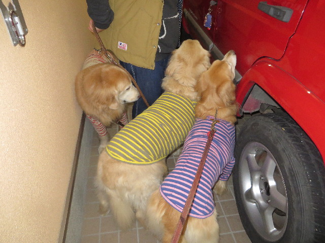 ファイル 3948-2.jpg