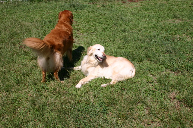 ファイル 395-1.jpg