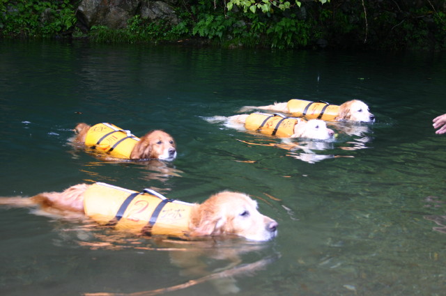 ファイル 395-2.jpg