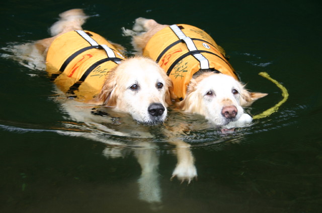 ファイル 395-3.jpg