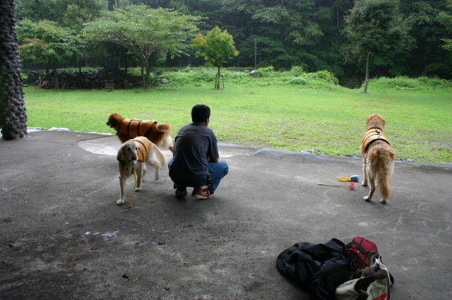 ファイル 395-5.jpg