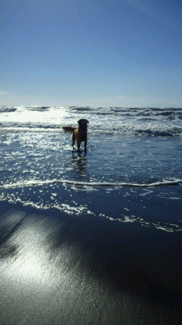 ファイル 3950-2.jpg