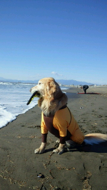 ファイル 3950-3.jpg